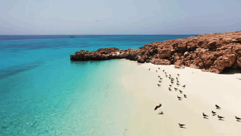 Daymaniyat Island-Beach